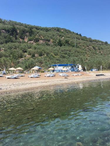 Mavizeytin Beach Club Rezervasyon