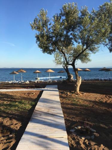 Mavizeytin Beach Club Rezervasyon