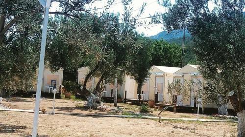 Mavizeytin Beach Club Rezervasyon