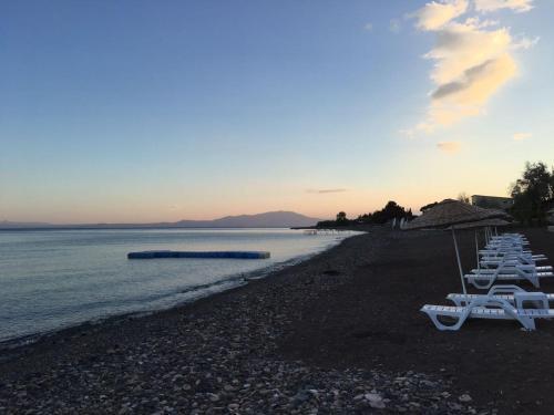 Mavizeytin Beach Club Rezervasyon